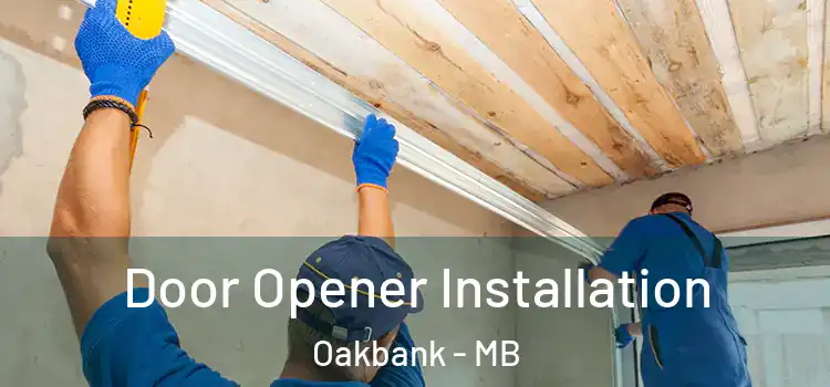  Door Opener Installation Oakbank - MB