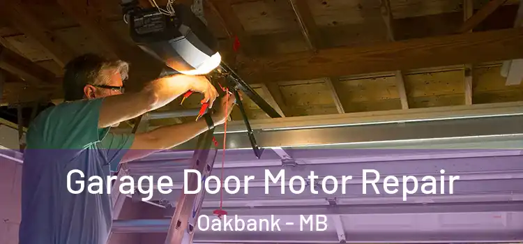  Garage Door Motor Repair Oakbank - MB