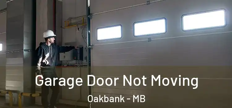  Garage Door Not Moving Oakbank - MB