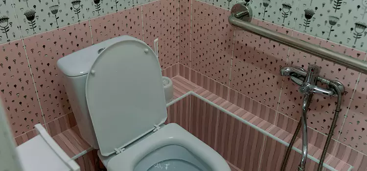 Meeting Diverse Needs With Accessible Restroom Solutions in Oakbank, MB