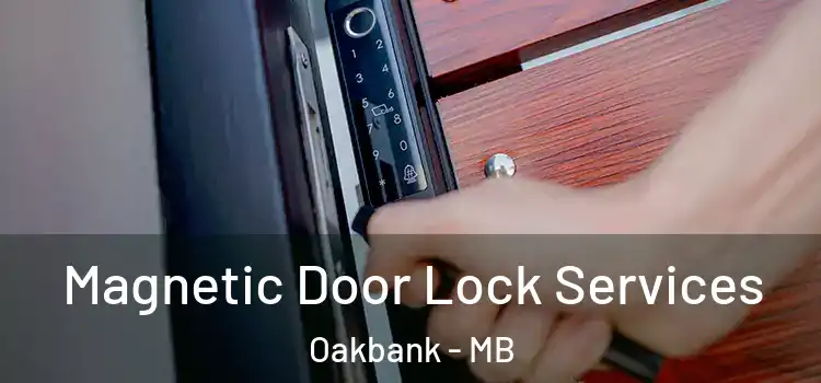  Magnetic Door Lock Services Oakbank - MB